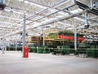 UK Ford Zetec Engine Production Line